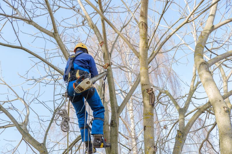 Safety Equipment for Trimming