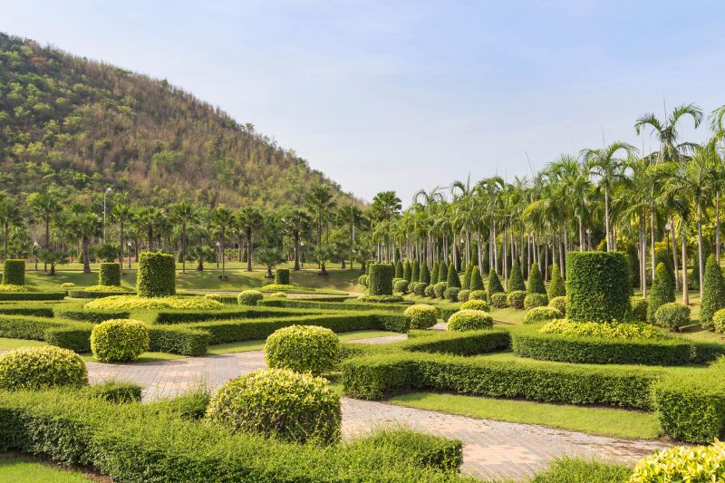 Decorative Tree Shaping